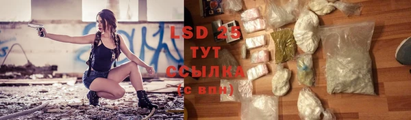 MESCALINE Гвардейск