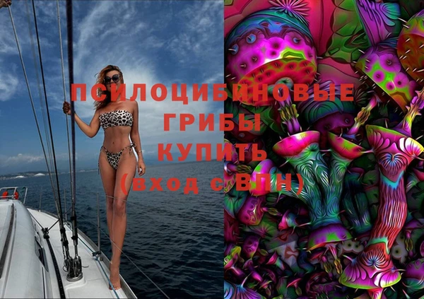героин Пересвет