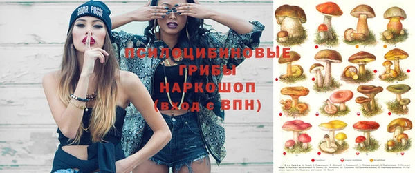 дмт Покров