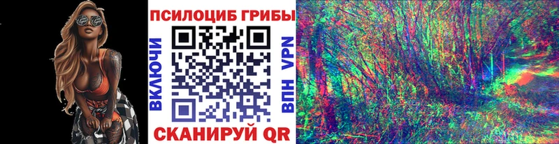 Псилоцибиновые грибы мицелий  Купить  Глазов 